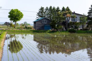 田んぼの映り込む風景