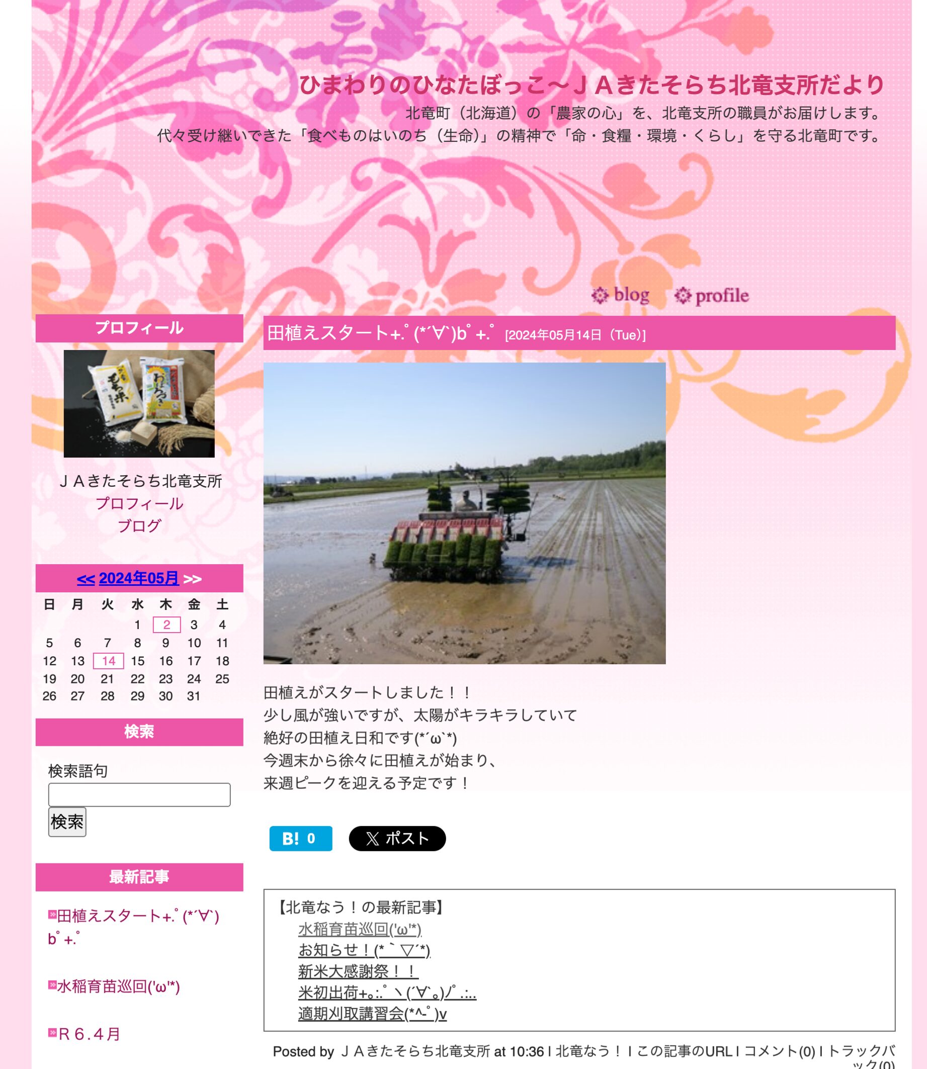 चावल की रोपाई शुरू हो गई है! इस सप्ताहांत से, चावल की रोपाई धीरे-धीरे शुरू होगी और अगले हफ़्ते अपने चरम पर पहुँच जाएगी! [जेए कितासोराची होकुर्यु शाखा]