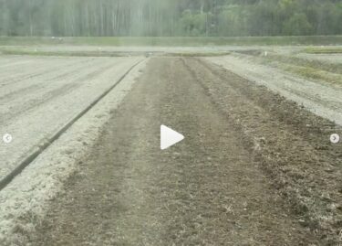 田んぼ起こしが始まりました！みんなで協力して広い土地を作業しています！【農事組合法人 豊竜農場】
