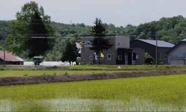 米米CLUB•浪漫飛行【（株）高田】