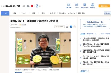 最高に甘い！北竜特産ひまわりすいか出荷【北海道新聞デジタル】