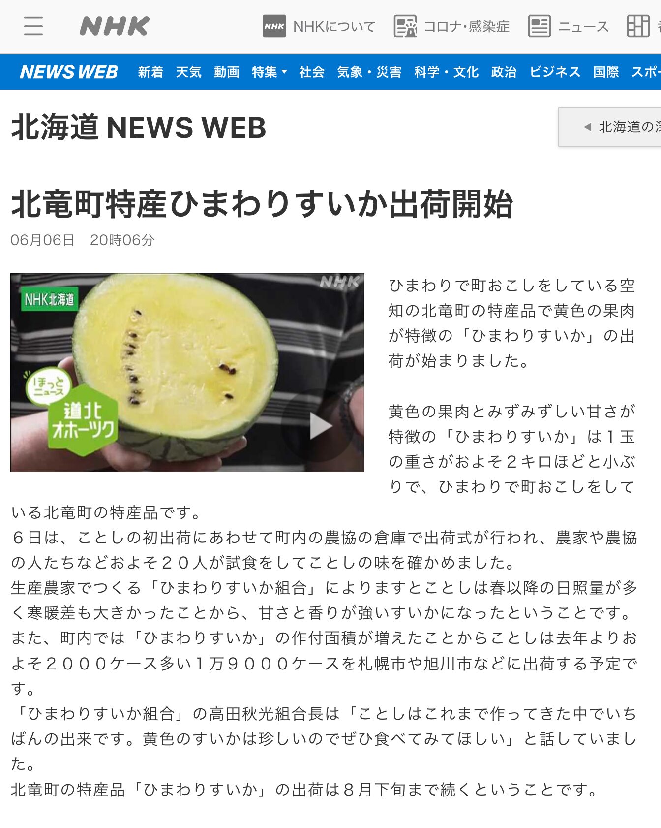 【期間限定動画公開】北竜町特産ひまわりすいか出荷開始【NHK 北海道 NEWS WEB】