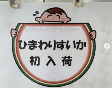 ひまわり西瓜 🍉 本日（6/10）初並びです。 3玉から6玉サイズと色々入りました。今年もいい出来で甘くて美味しい西瓜🍉が取れました。是非初物を食べて頂きたいです♪【みのりっち北竜】