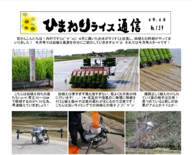 ひまわりライス通信 No.159・令和6年6月【ＪＡきたそらち北竜支所】