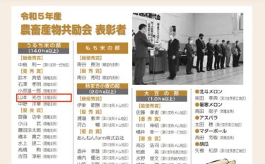 佐藤孝介さん「ひまわりすいか」栽培 独立１年目で【最優秀賞】を受賞！ＪＡきたそらち・令和５年産 農畜産物共励会・青果の部
