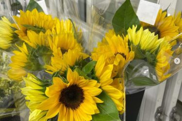 Bazar ertəsi, 24 iyun: Bizdə lobya, kələm, badımcan, xiyar və s. Tərkibində Sabahın Reigetsu Pomidorları var 🍅 [Minorich Hokuryu]