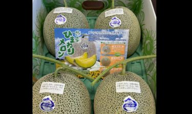 [eciR Çiftlik Ürünleri Doğrudan Satış Mağazası] Yazın temsili lezzeti Hokuryu ayçiçeği kavunları geldi ve bugün, 21'inden itibaren satışta. Yazın temsili lezzeti Hokuryu ayçiçeği kavunları geldi ve bugün, 21'inden itibaren satışa sunuluyor. Yazın temsili lezzeti Hokuryu ayçiçeği kavunları geldi ve bugün, 21'inden itibaren satışa sunuluyor. [Kitasorachi Tarım Kooperatifi (JA Kitasorachi)]