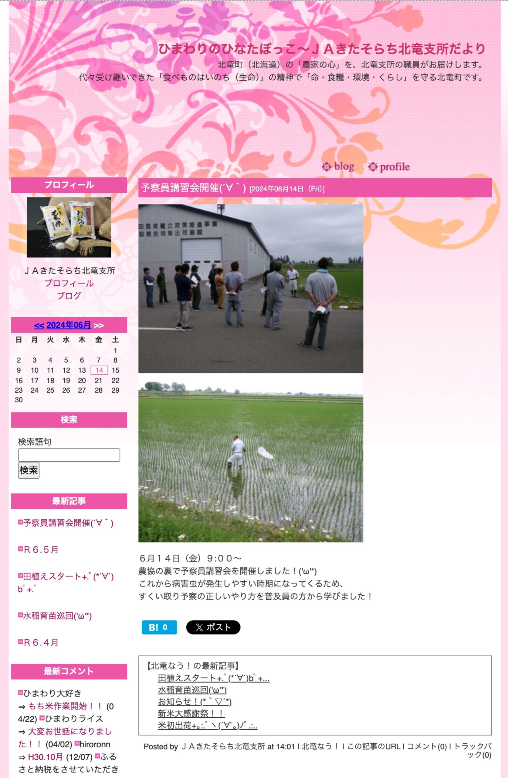 6月14日（金）09：00～ 農協の裏で予察員講習会を開催しました！これから病害虫が発生しやすい時期になってくるため、 すくい取り予察の正しいやり方を普及員の方から学びました！【ＪＡきたそらち北竜支所】