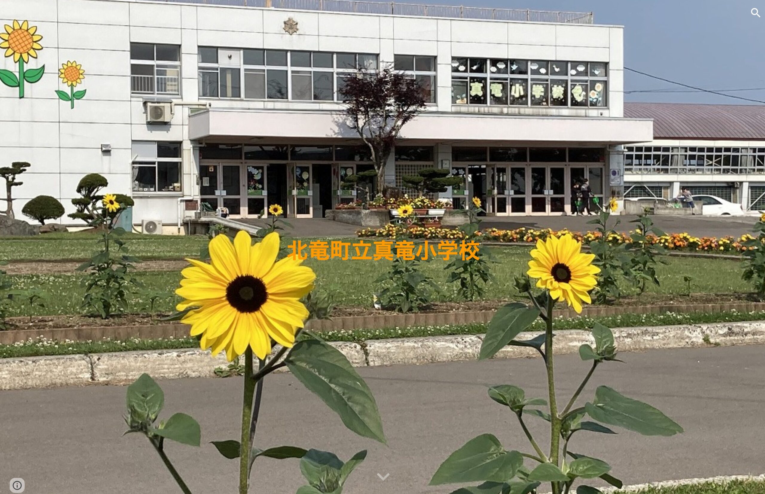 北竜町立真竜小学校ホームページ