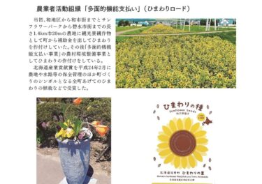 Fermerlərin Fəaliyyət Təşkilatı "Çoxfunksiyalı Ödəniş" (Himawari Yolu)