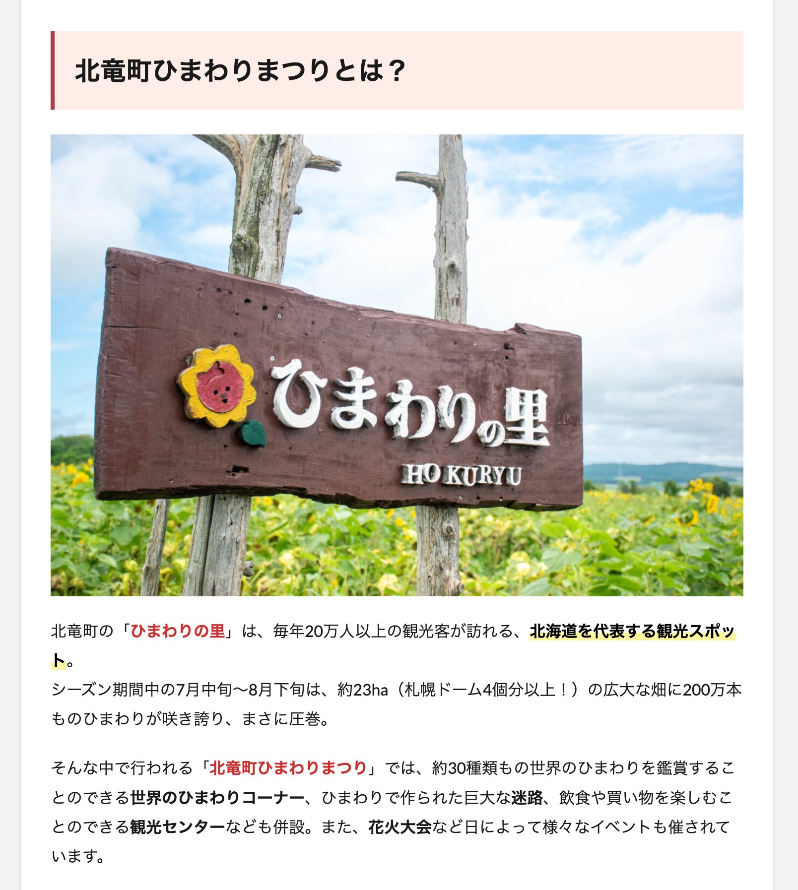 【北竜】ひまわり畑で楽しみ尽くす！北竜町ひまわりまつり【7月20日～8月18日】【Notte.-ノッテ】