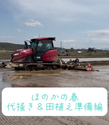 2024.春：代掻き ＆ 田植え準備編・ぜひご覧下さい ♪【農事組合法人ほのか】