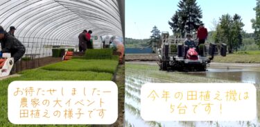 2024.春：田植え編・ぜひご覧下さい ♪【農事組合法人ほのか】