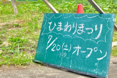 いよいよ明日（7/20）より、第38回ひまわりまつりの開催です 🌼🌱⋆｡ オープン式は 10:00スタートです！【北竜町ひまわり観光協会】