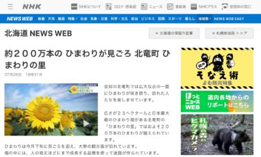 【期間限定動画公開】約２００万本の ひまわりが見ごろ 北竜町 ひまわりの里【NHK 北海道 NEWS WEB】