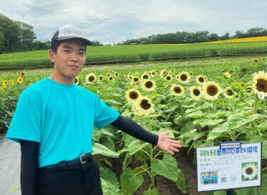 毎年恒例、北竜中学校生による「世界のひまわりガイド」が行われました 🌏🌻´- 今年もたくさんのご来場、ありがとうございました！【北竜町ひまわり観光協会】