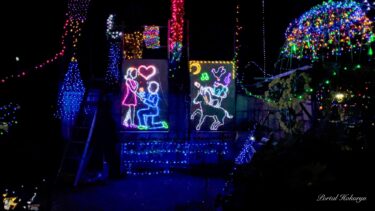 節也 ルミナリエ 2024(鈴木節也さん作・お庭のソーラーイルミネーション)