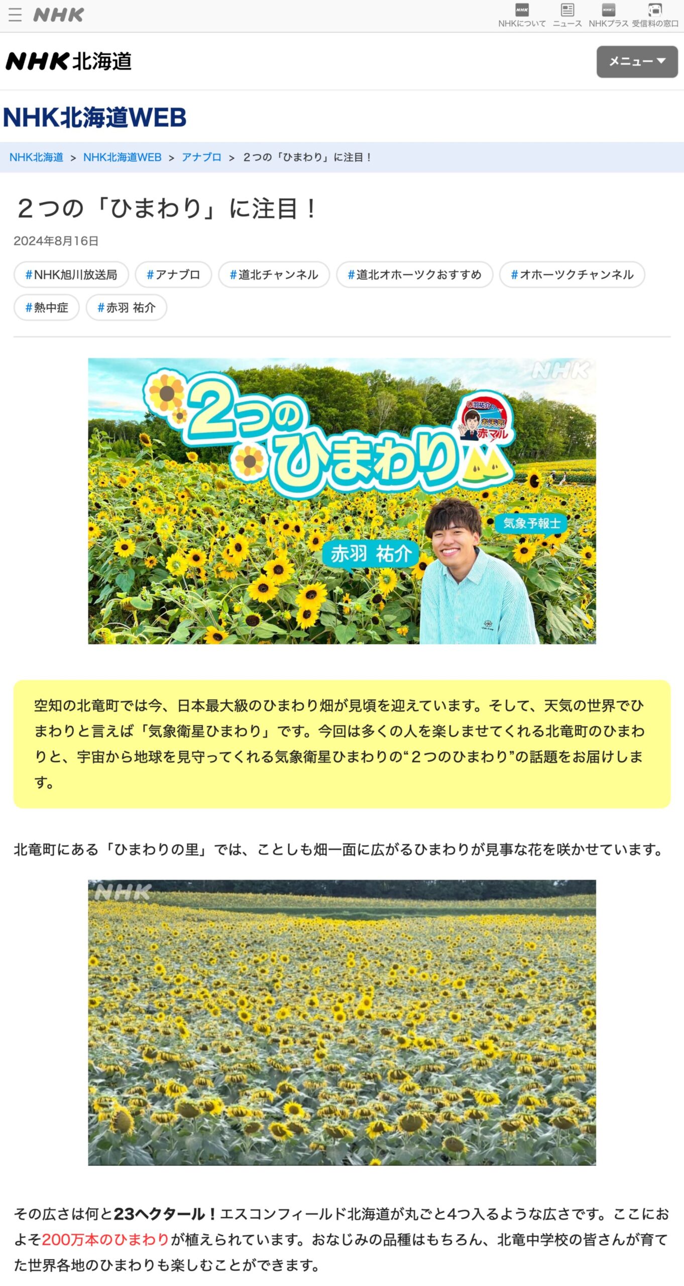 ２つの「ひまわり」に注目！【NHK北海道WEB】