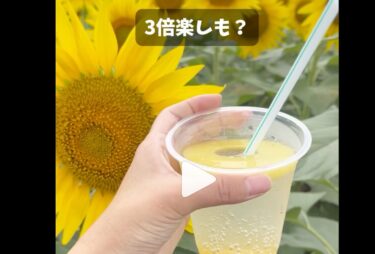 たくさんの飲食店がある 観光センター 🌻 どうせ来るなら絶対のぞいてねっ！【ハナマルシェ】