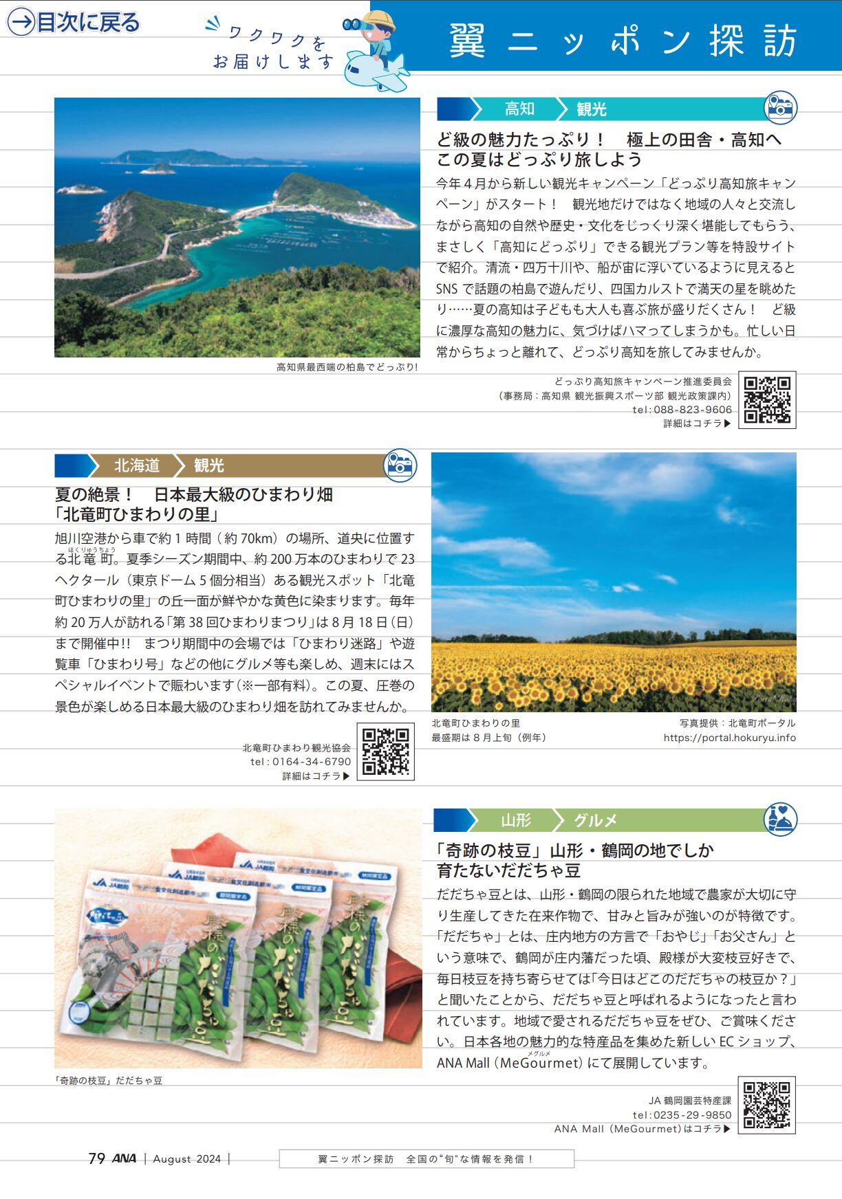 夏の絶景！日本最大級のひまわり畑『北竜町ひまわりの里』【翼の王国（2024年8月号）】