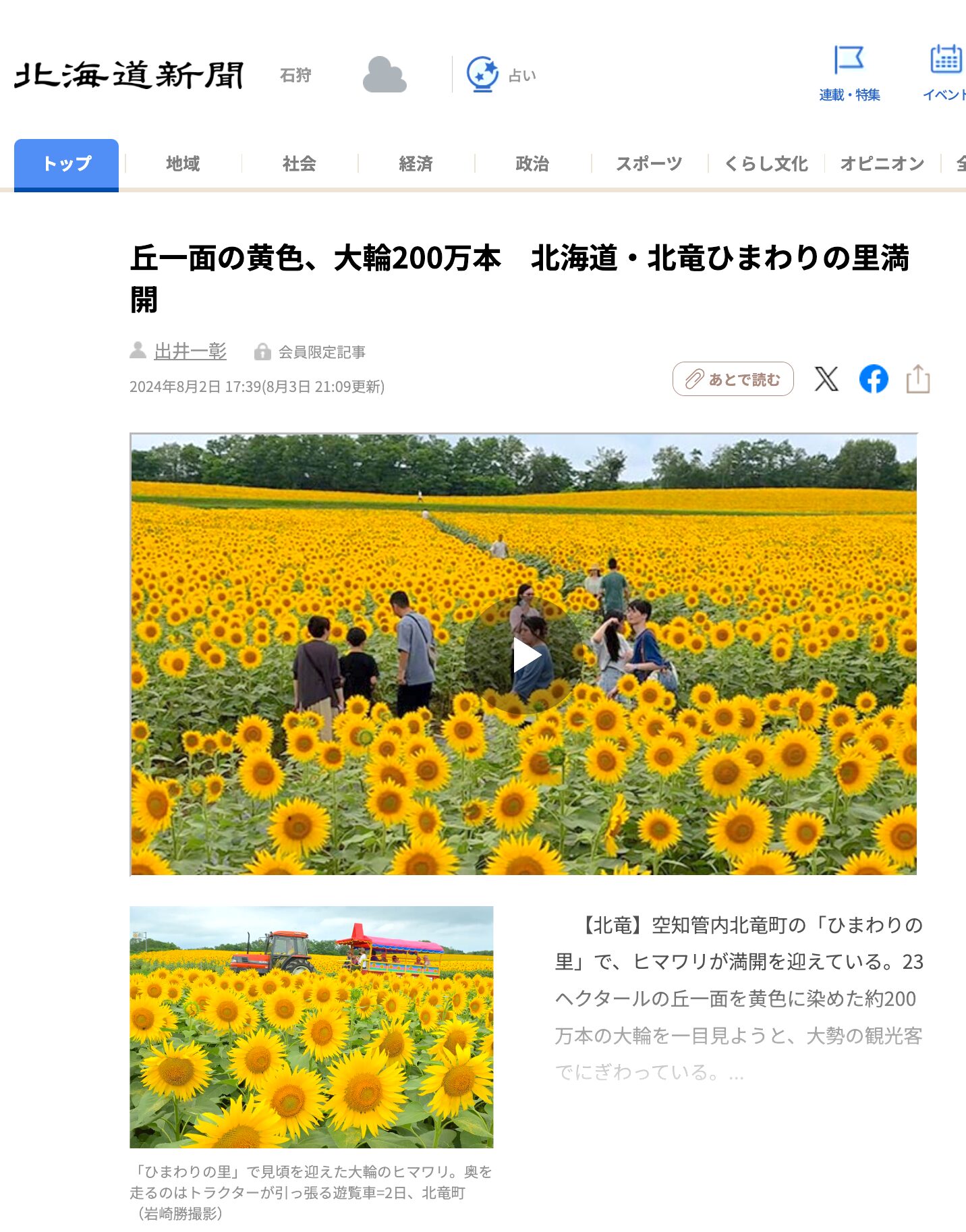丘一面の黄色、大輪200万本 北海道・北竜ひまわりの里満開【北海道新聞デジタル】