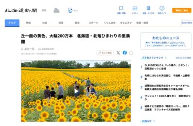 丘一面の黄色、大輪200万本　北海道・北竜ひまわりの里満開【北海道新聞デジタル】
