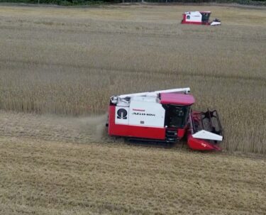 7月:秋まき小麦の収穫の様子です!北海道の夏をご覧ください ♪【農事組合法人ほのか】