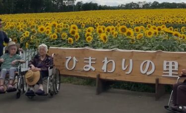 8月6日（火）ひまわり見学に行ってきました。とても綺麗に咲いていました ♪【特別養護老人ホーム永楽園】