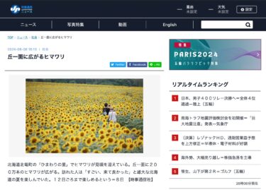 丘一面に広がるヒマワリ【時事通信ニュース】