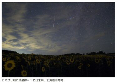 ヒマワリ畑に流星群　北海道北竜町〔地域〕【時事通信ニュース】