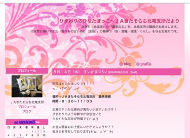 明日（8/14）はすいかまつりです！！！北竜のすいかは果肉が黄色い小玉すいかです！ひまわりのような鮮やかな色合いと さわやかな甘みが特徴です【ＪＡきたそらち北竜支所】