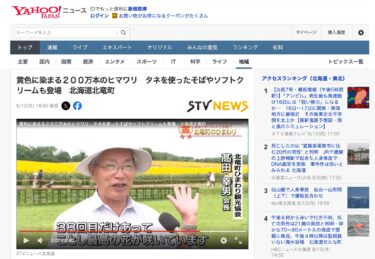 2 milyon sarı ayçiçeği; Tohumlardan yapılan soba erişteleri ve yumuşak dondurmalar Hokuryu, Hokkaido'da da mevcuttur [STV Haberleri Hokkaido, Yahoo!Haberler]