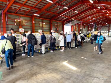 メロン直売会「令和6年北竜町メロン・すいかまつり」が開催！大盛況！３０分程でほとんど完売！