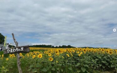 8月6日（火）⚠️ 開店時間は11:30です。早い時間に入店してしまうと注文を取る順番が分からなくなるのでお時間まで入店はご遠慮下さい。 のれんが上がってから入店して下さい！【お食事処向日葵】