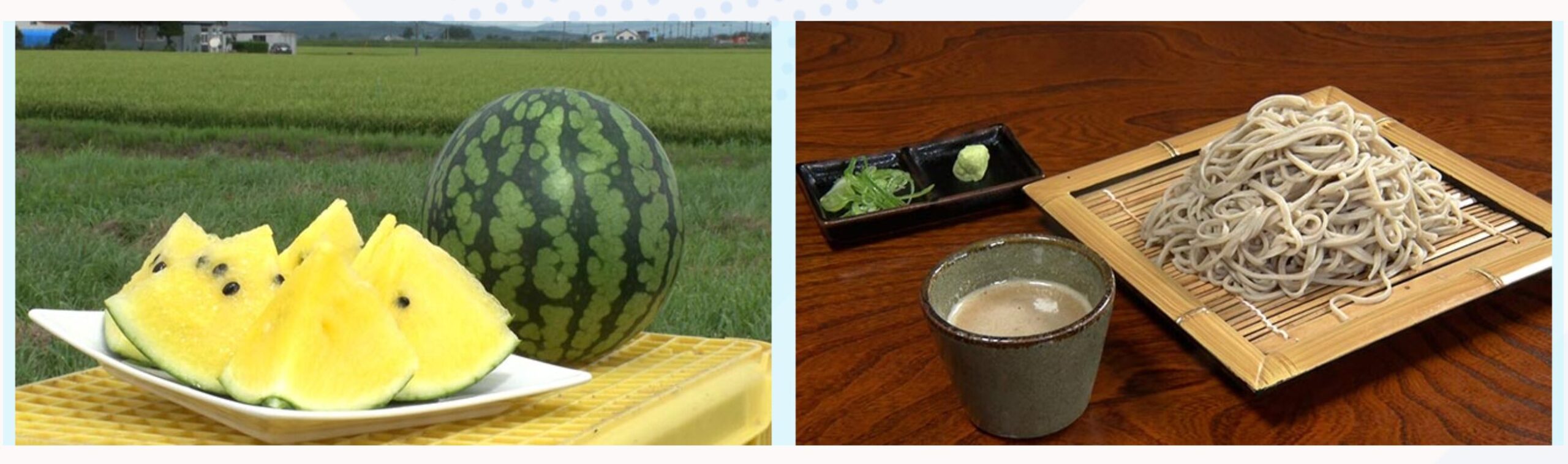 [होकुर्यु टाउन सनफ्लावर विलेज] हमने गाँव के मेयर से पूछा! हमारा गाँव जापान में सबसे अच्छा है 7 [टीवी ओसाका]