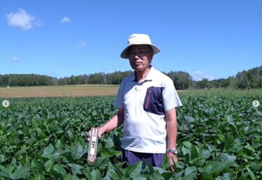 生産者さんによってですが、1メートル超えた畑もあり、鞘もたくさんついていました！青い空に緑色が映えますよね。収穫までまだまだありますが、順調に育ってます✨【黒千石事業協同組合】