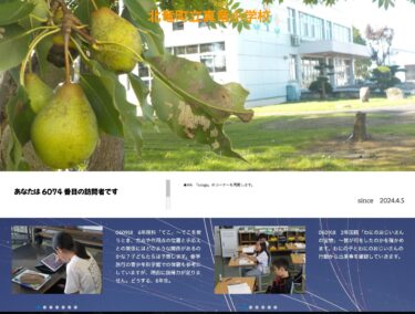 9月18日（水）6年理科「てこ」～てこを使うとき、力点や作用点の位置と手応えとの関係にはどのような関係があるのかな？子どもたちは予想します【真竜小学校】