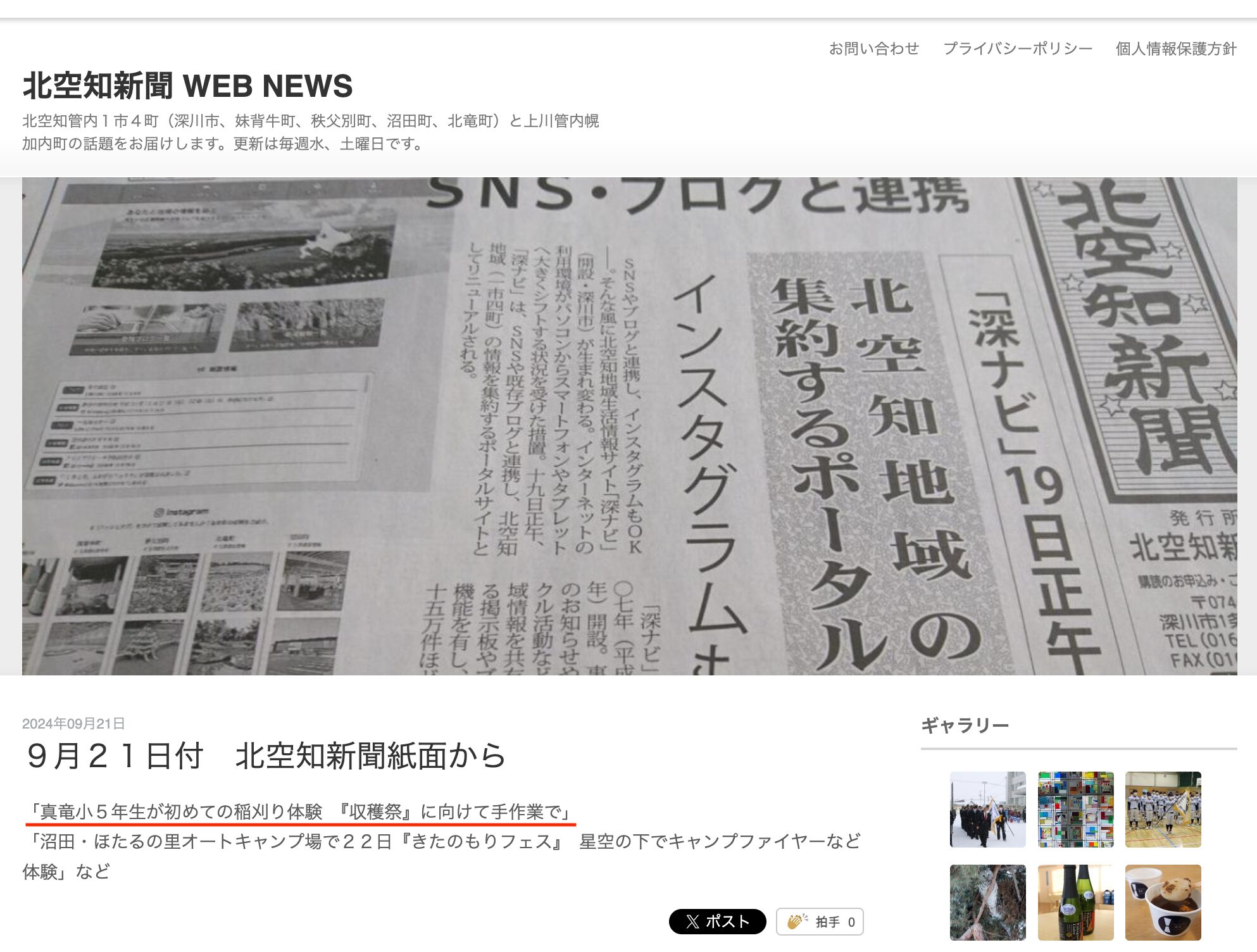 Học sinh lớp 5 trường tiểu học Shinryu trải nghiệm lần đầu tiên thu hoạch lúa bằng tay chuẩn bị cho Lễ hội thu hoạch [Kita Sorachi Shimbun]