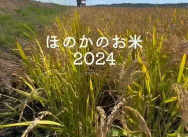 秋作業頑張ってます ☺️【農事組合法人ほのか】