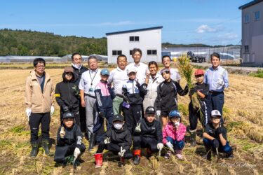 真竜小学校５年生「稲作体験」稲刈り（高田ファーム）・稲架掛け（真竜小学校）喜びと達成感に満ちた貴重な体験！