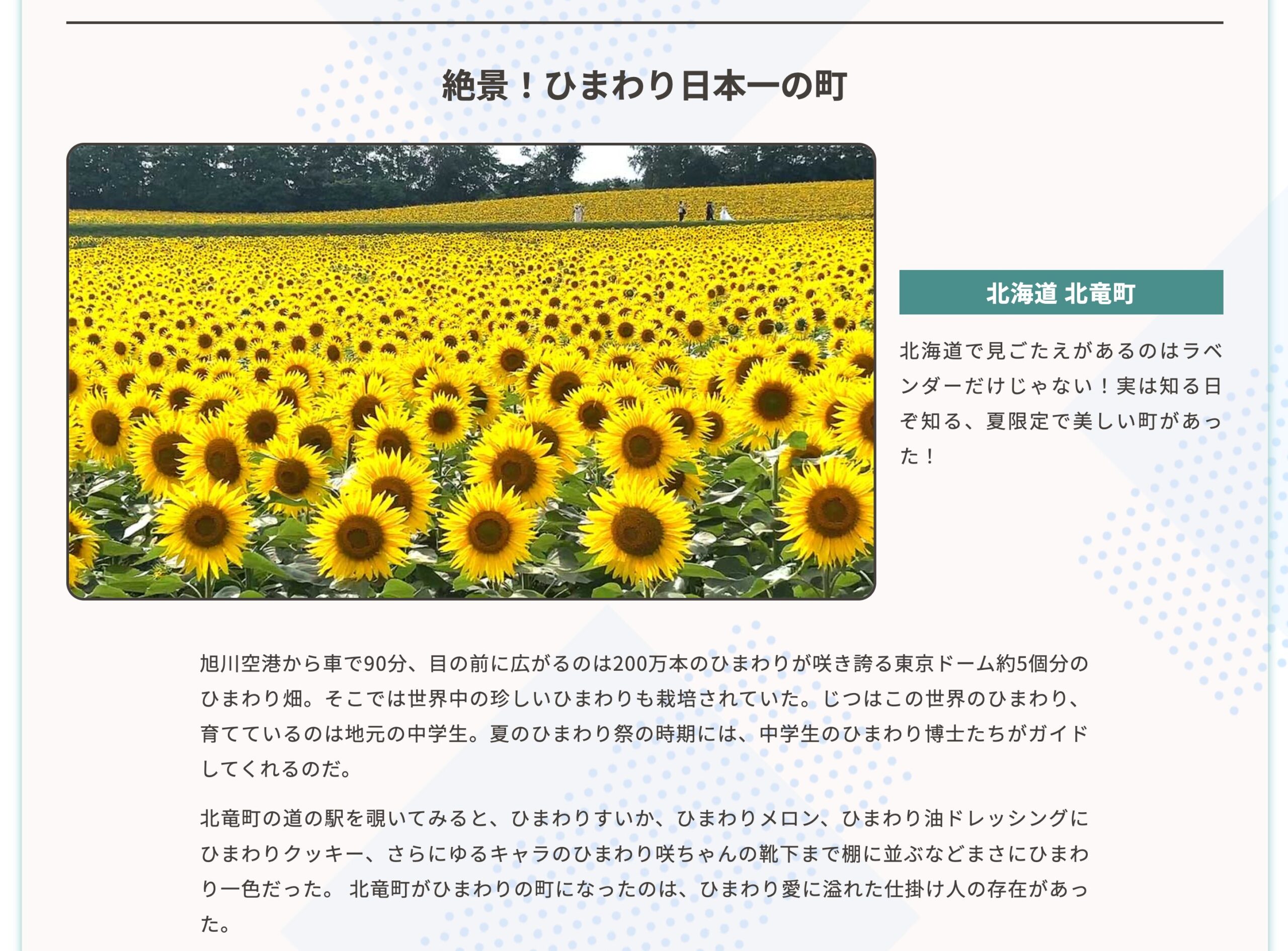 [होकुर्यु टाउन सनफ्लावर विलेज] हमने गाँव के मेयर से पूछा! हमारा गाँव जापान में सबसे अच्छा है 7 [टीवी ओसाका]