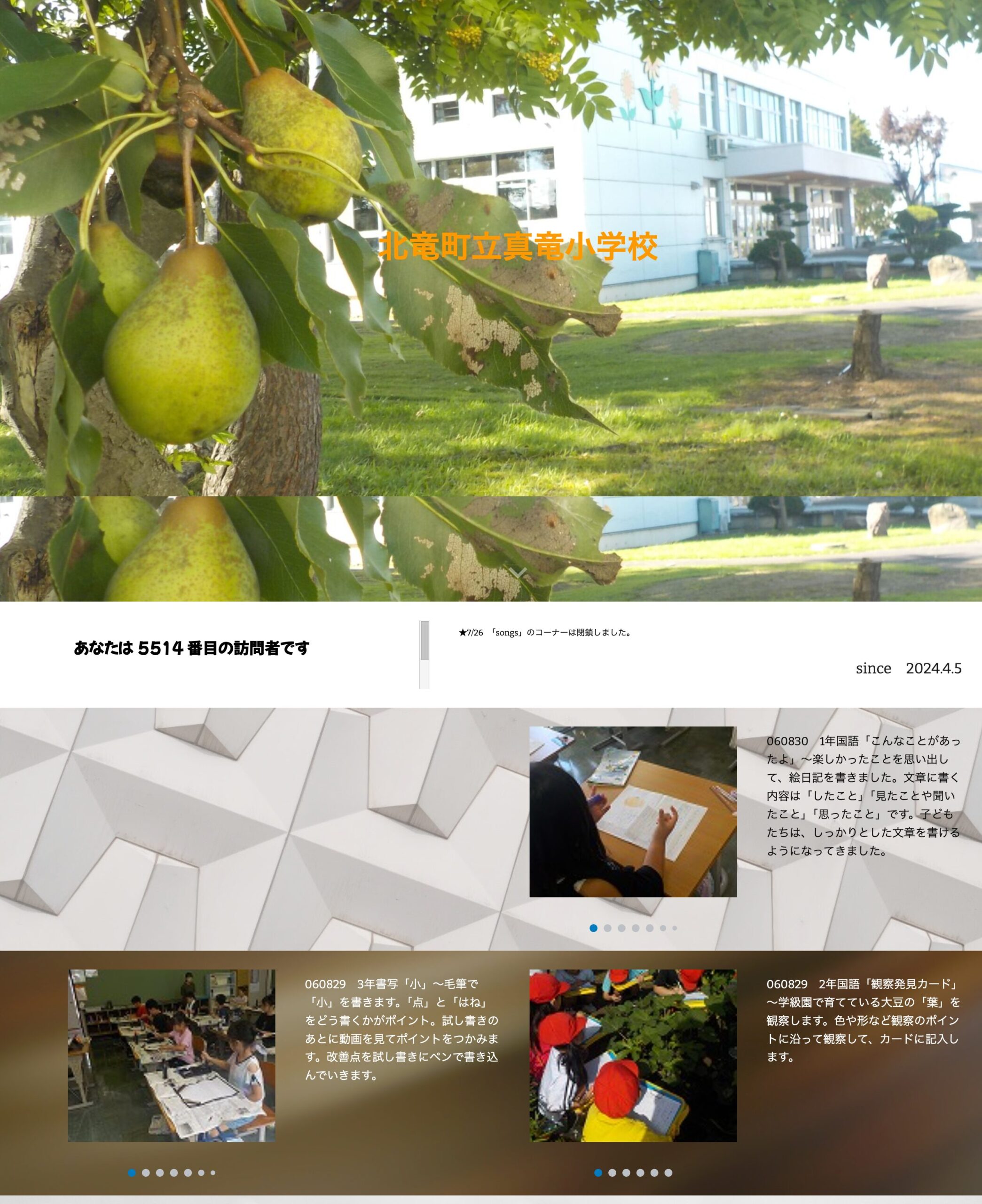 8月29日（木）・30日（金）1年国語「こんなことがあったよ」～楽しかったことを思い出して、絵日記を書きました。文章に書く内容は「したこと」「見たことや聞いたこと」「思ったこと」です【真竜小学校】