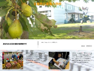 2 अक्टूबर (बुधवार) और 3 अक्टूबर (गुरुवार) फूलों की क्यारियों की सफाई ~ सफाई टीम ने फूलों की क्यारियों की सफाई का काम बाँट दिया। सूरजमुखी के तने मोटे हैं और यह मेहनत का काम है। गेंदे के फूलों की खुशबू बहुत तेज़ है, और ऐसा लग रहा है कि फूलों का मौसम अभी कुछ समय और चलेगा। [शिन्र्यू प्राथमिक विद्यालय]