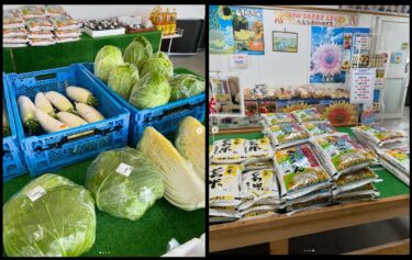 Minoritch Kitaryu təxminən iki həftə açıq olacaq. Yay tərəvəzləri demək olar ki, bitdi və artıq payız tərəvəzləri peyda olur. Soğan 🧅, Çin kələmi, kələm, turp, şirin kartof 🍠 və s. [Minoriç Hokuryu]