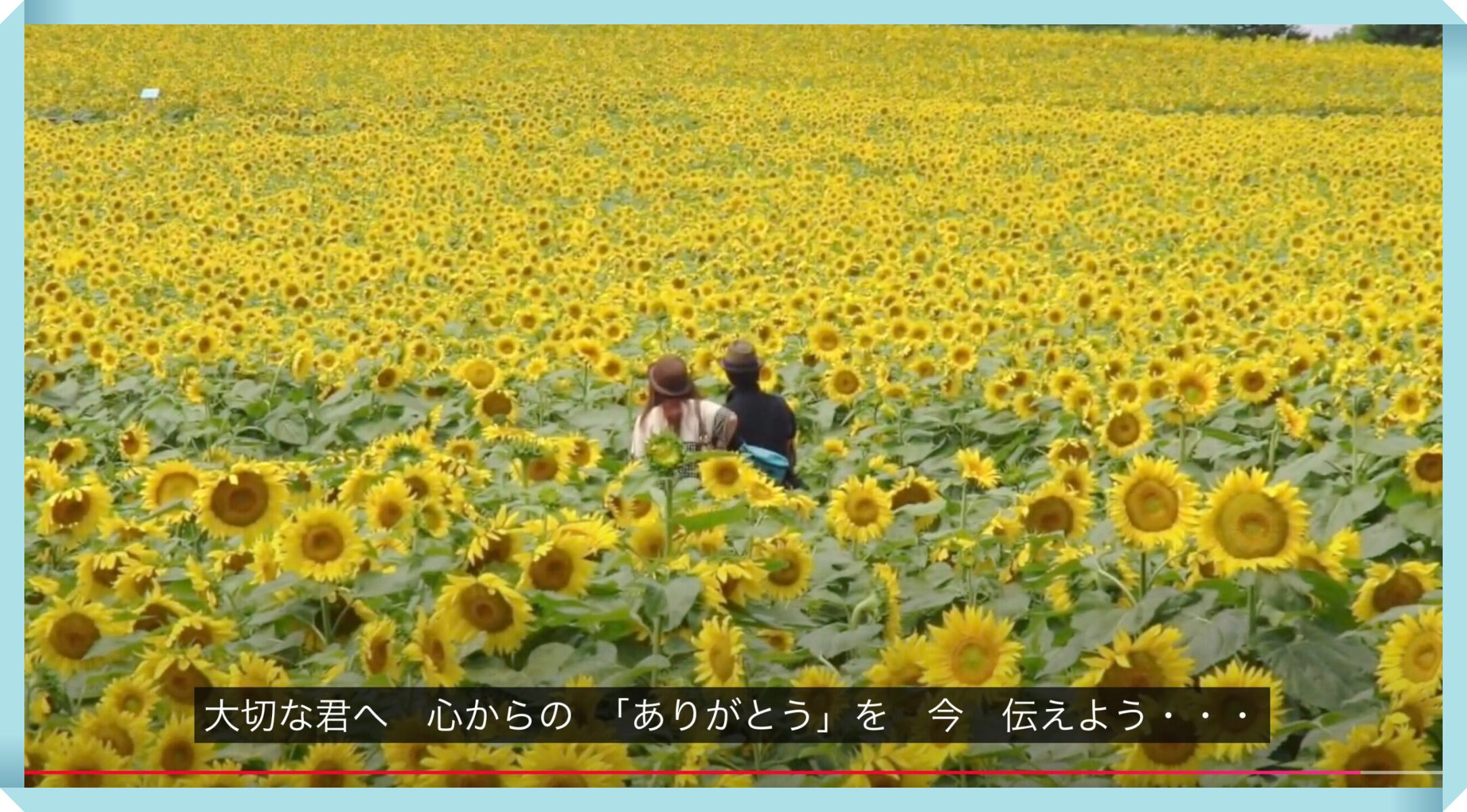 On a hill where sunflowers bloom (original composition by a H25 graduate of Hokuryu Junior High School)