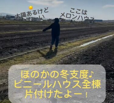 作業場ハウス含めて全棟 ハウス片付け終わりました ♪【農事組合法人ほのか】
