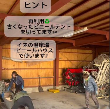 Kỷ lục công việc mùa thu 🗒️ Tái sử dụng ♻️ Cắt bỏ chiếc lều nhựa vinyl cũ ✄ Dùng trong lò trồng lúa = nhà kính vinyl ♪ [Tập đoàn Hợp tác xã Nông nghiệp Honoka]