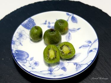 中島家ナチュラルガーデンの庭木「コクワ（猿梨）」に感動！