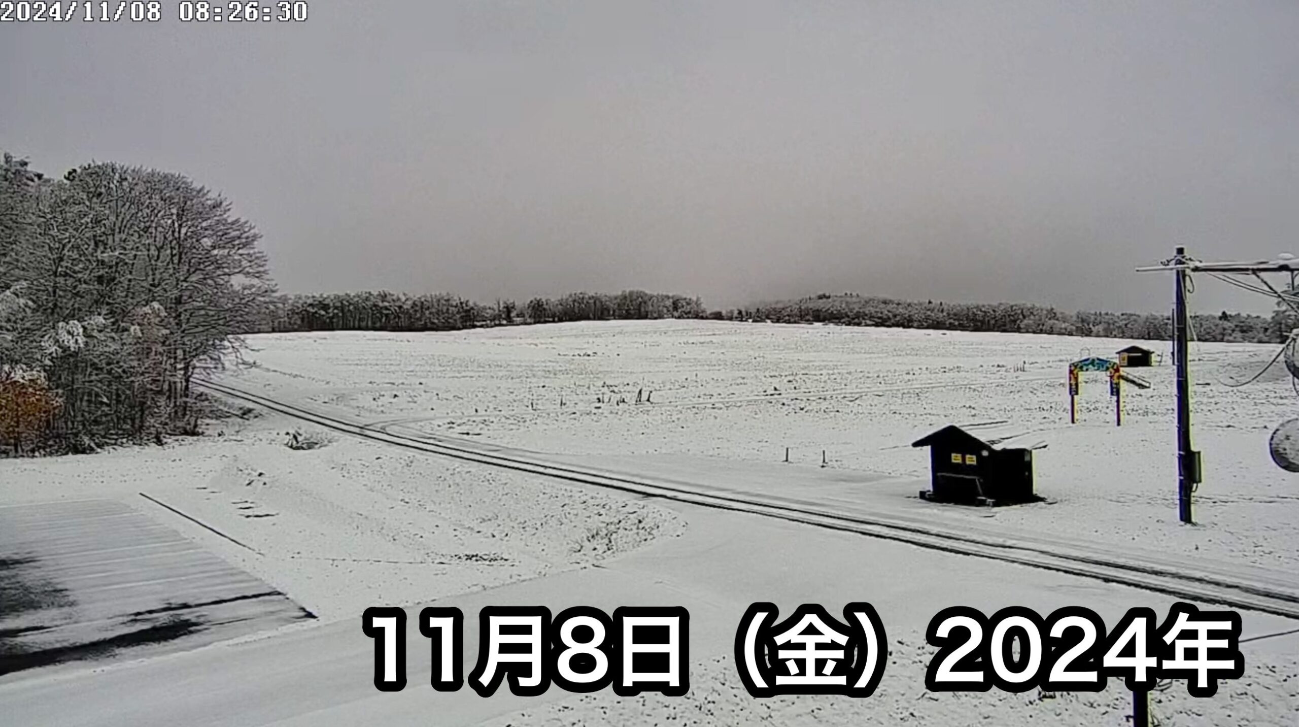 Live Streaming of Hokuryu-cho Sunflower Tourist Association