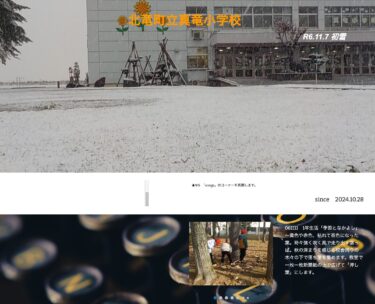 11月11日（月）　1年生活「季節となかよし」～黄色や赤色、枯れて茶色になった葉。時々強く吹く風で走り出す葉っぱ。秋の深まりを感じる校舎周りの木々の下で落ち葉を集めます【真竜小学校】